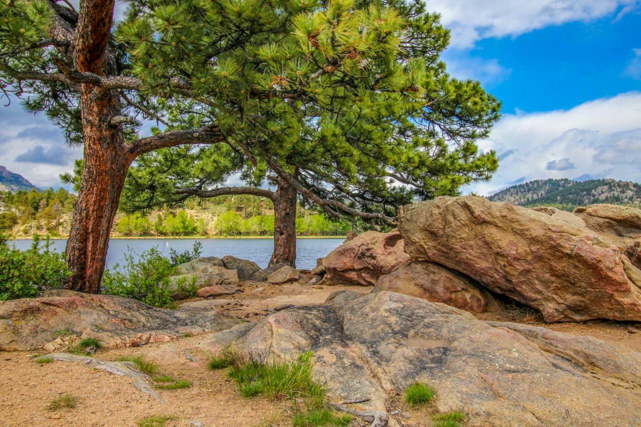 The Pine Cone - Permit #3255 Appartement Estes Park Buitenkant foto